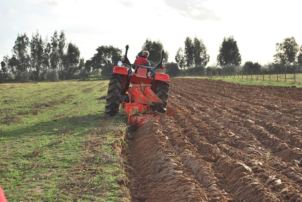 وسط استبشار الفلاحين بالغيث النافع..   تقدّم عمليات البذر ومؤشرات واعدة لموسم الزراعات الكبرى